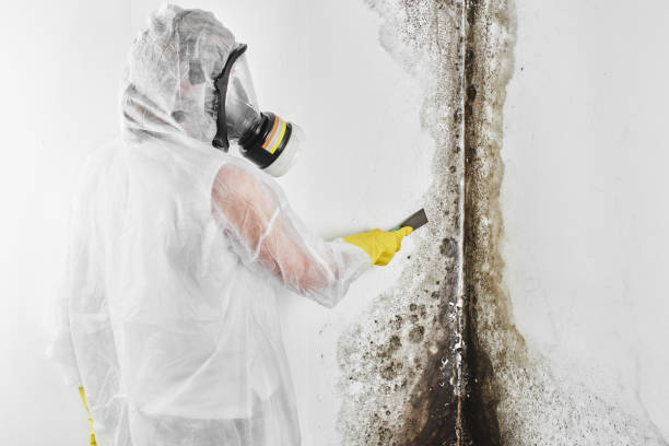 Woodall, OK Mold Remediation Company