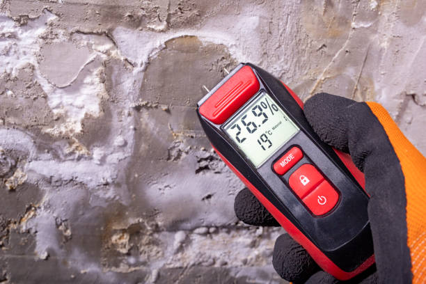 Best Post-Flood Mold Remediation in Woodall, OK