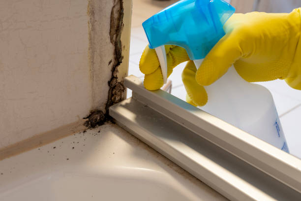 Best Crawl Space Mold Remediation in Woodall, OK