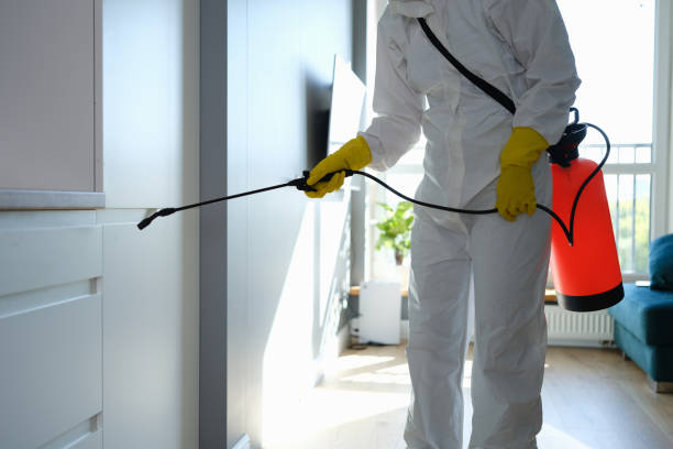 Best Localized Mold Remediation (e.g., coastal areas, humid climates) in Woodall, OK