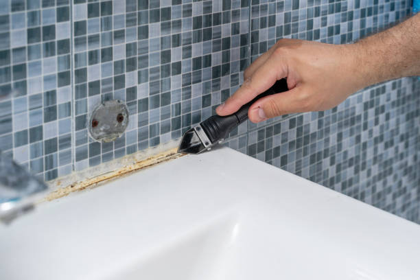 Best Residential Mold Remediation in Woodall, OK