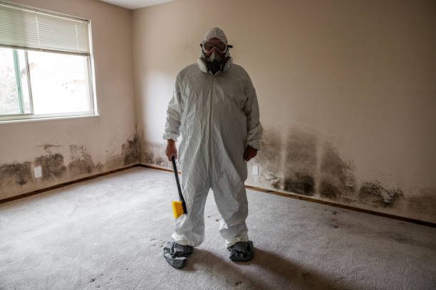 Best Mold Remediation for Specific Building Types in Woodall, OK