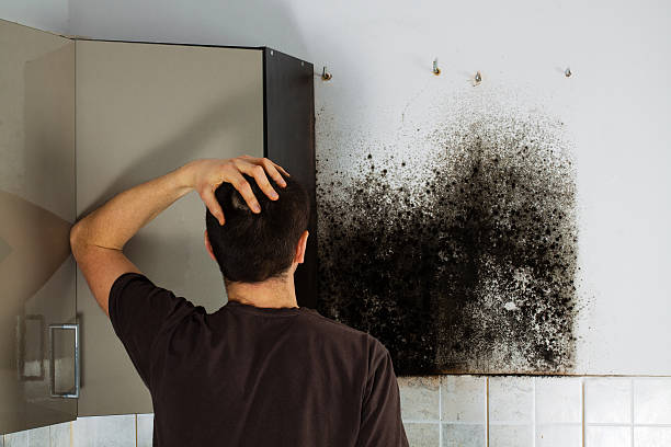Woodall, OK Mold Remediation Company